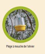 Greenapy - Carnet phéromones et attractifs pour piégeage des adultes - Greenapy - Image 6