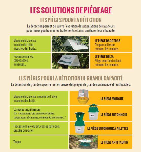 Greenapy - Carnet phéromones et attractifs pour piégeage des adultes - Greenapy - Image 5