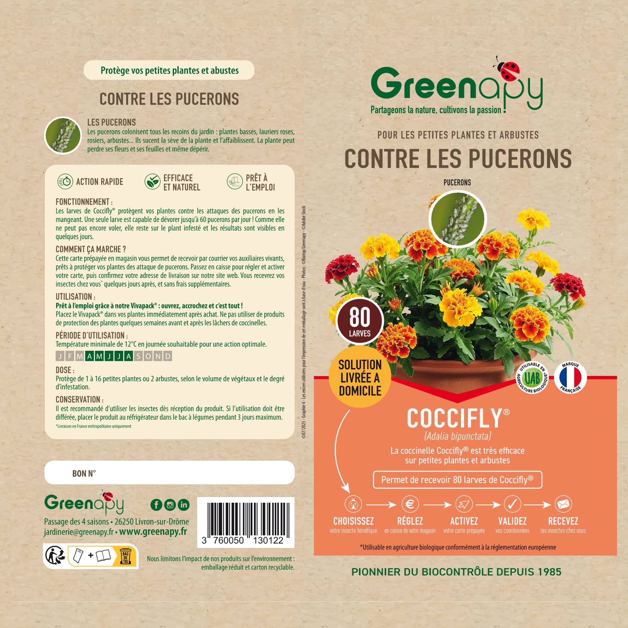 Biotop - Prepago larvas de mariquitas Coccifly anti pulgones x80 - Imagen 1
