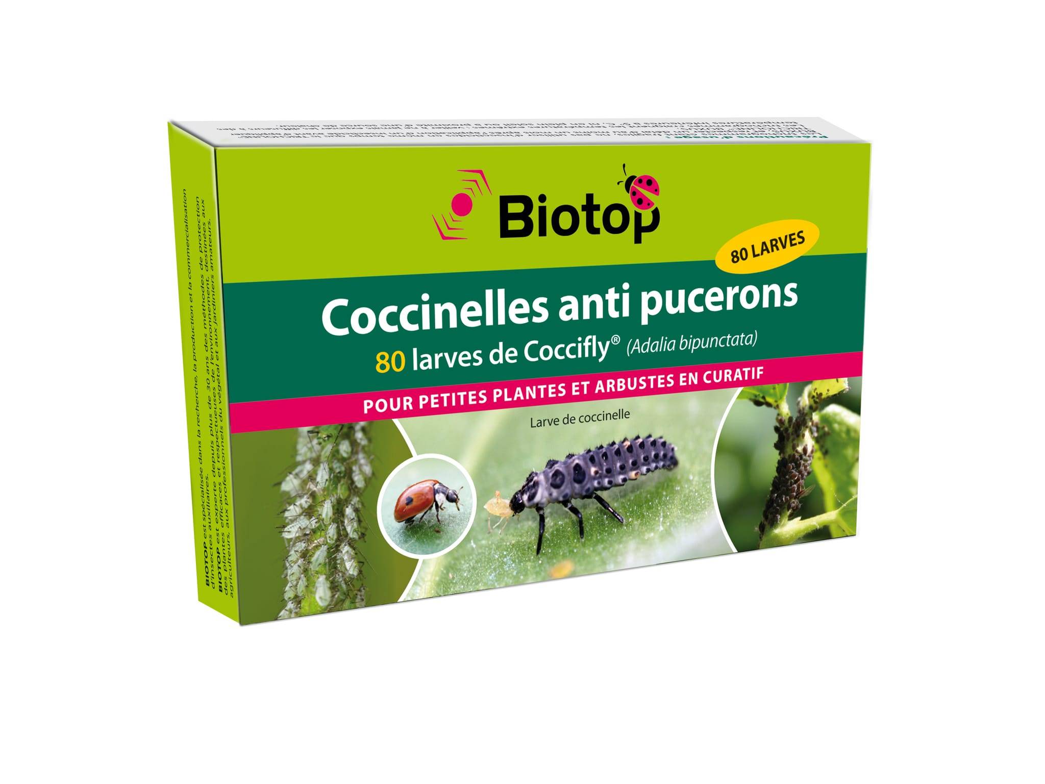 Biotop - Prépayé coccinelles larves Coccifly anti pucerons x80 - Image 4