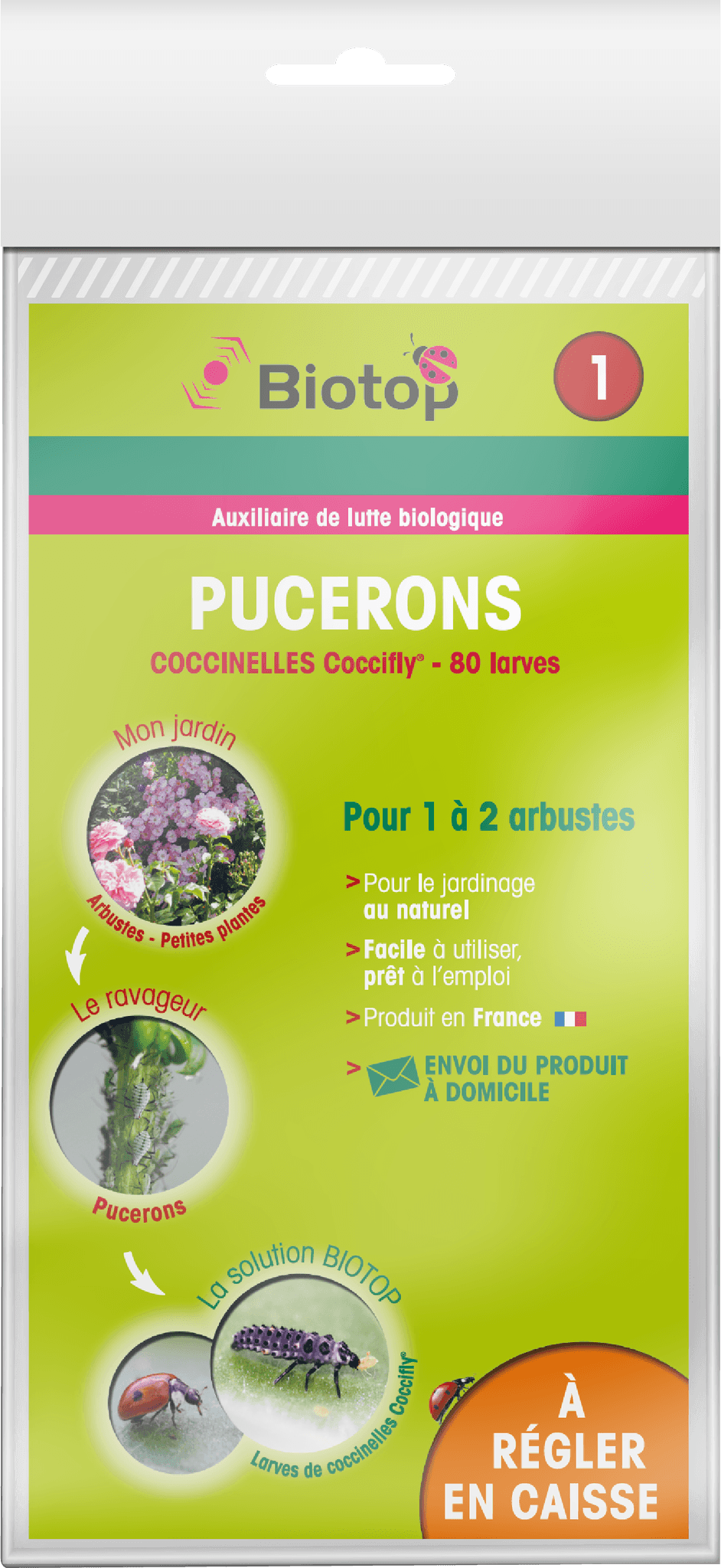Biotop - Prépayé coccinelles larves Coccifly anti pucerons x80 - Image 2