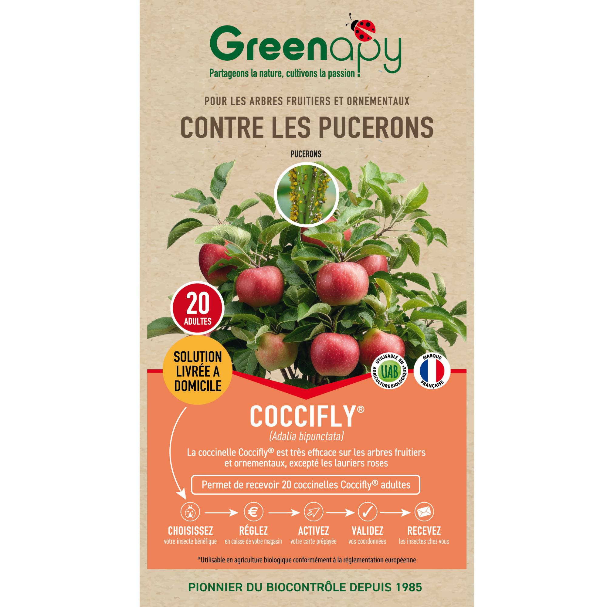 Prépayé coccinelles adultes Coccifly anti pucerons x20 - Biotop - Image 1