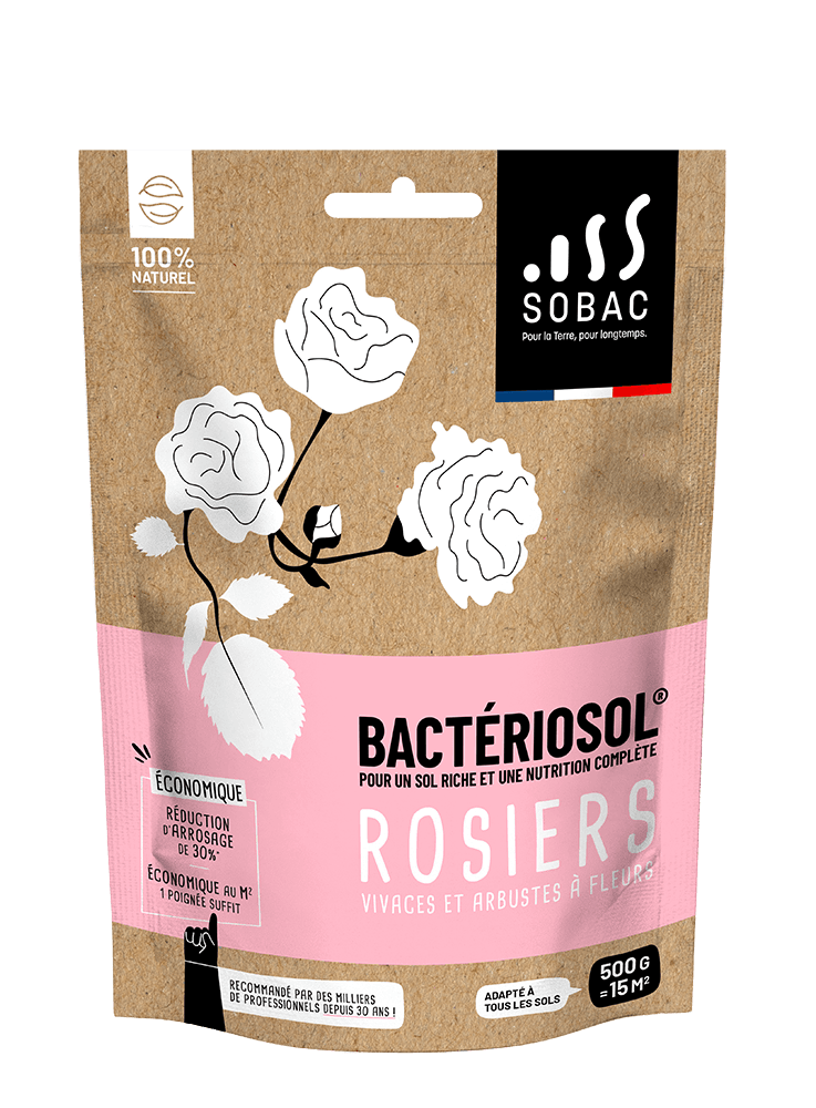 Eco-fertilisant Bactériesol - BACTERIOSOL - Image 3