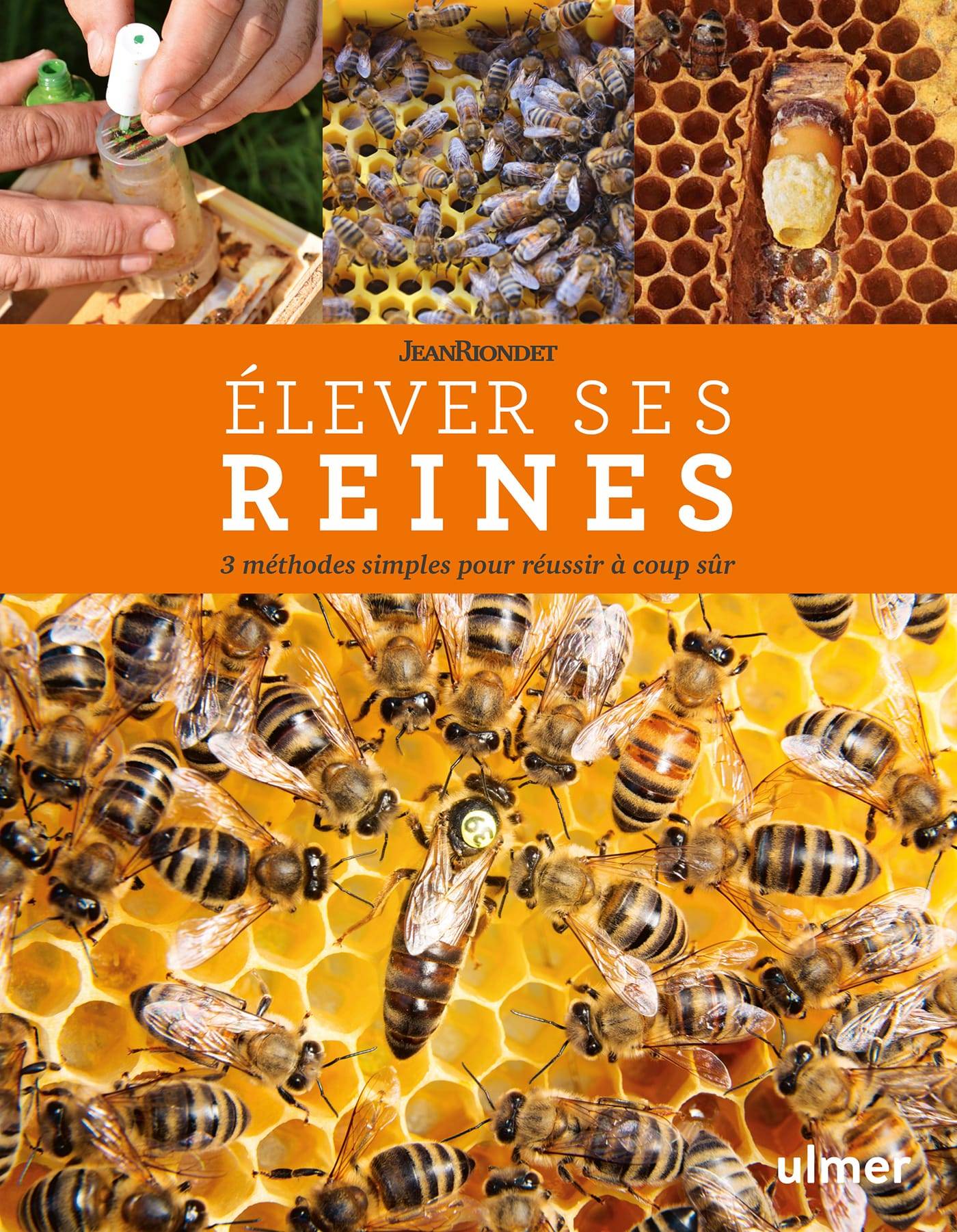 Ulmer - Elever ses reines