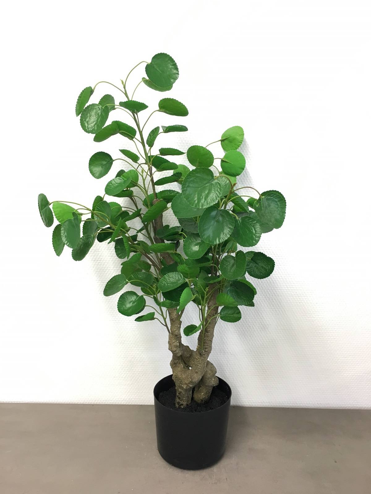 Kalyste - Kalyste - Peperomia artificielle en pot L.76 cm