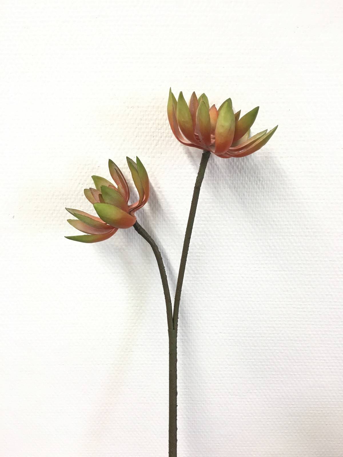 Kalyste - Kalyste - Tige Echeveria artificielle orange et vert L.76 cm