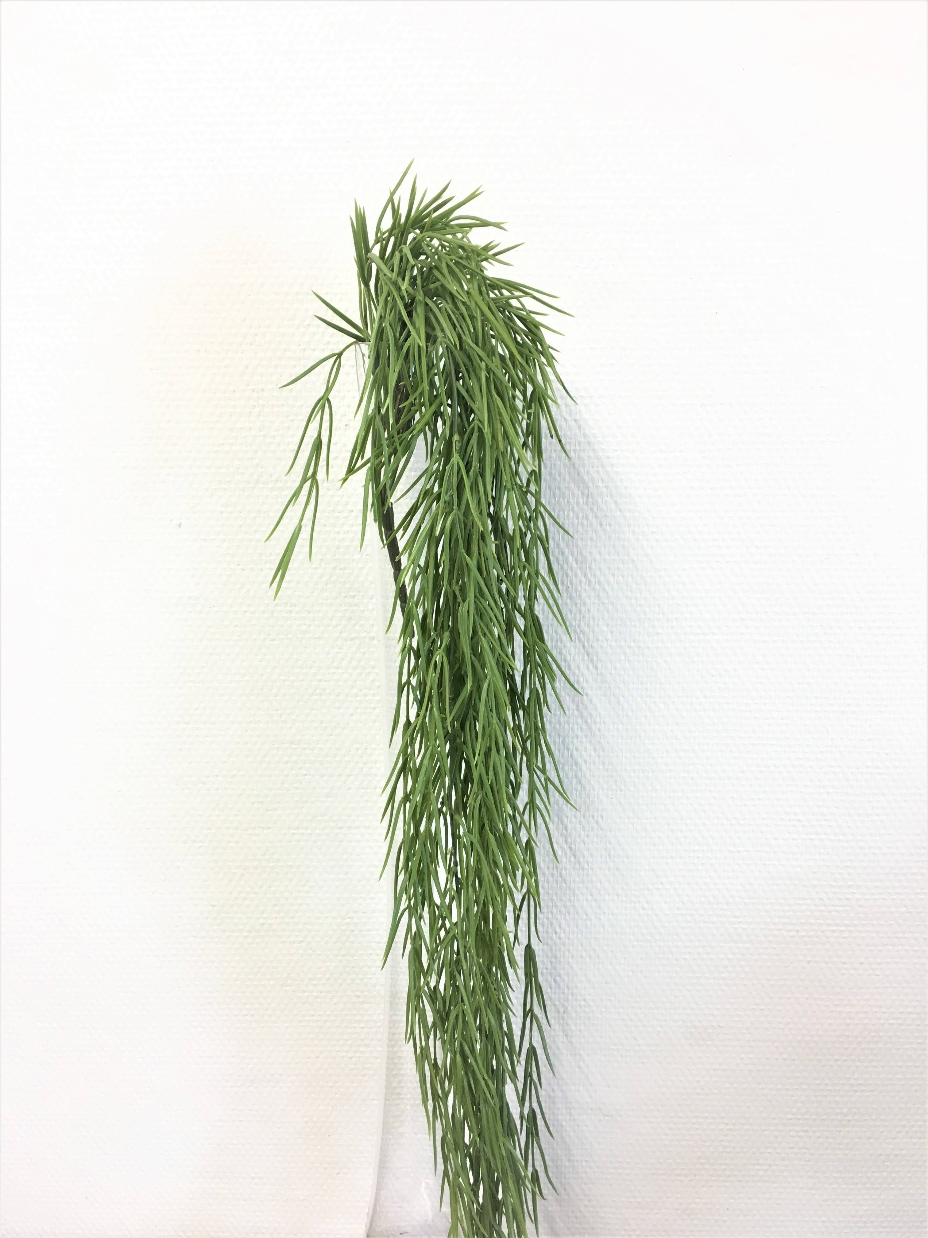 Chute rhipsalis vert artificielle 109 cm