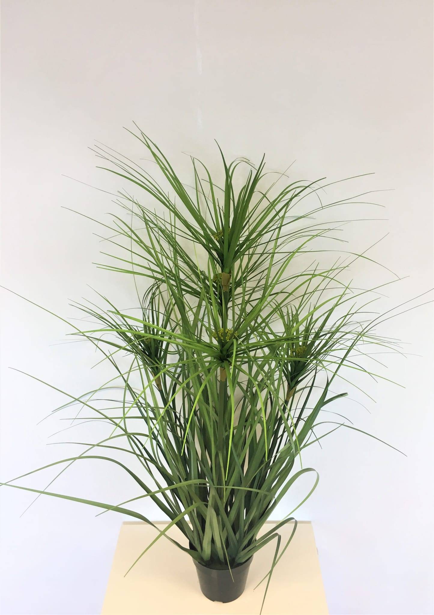 Papyrus vert artificiel 64 cm en pot