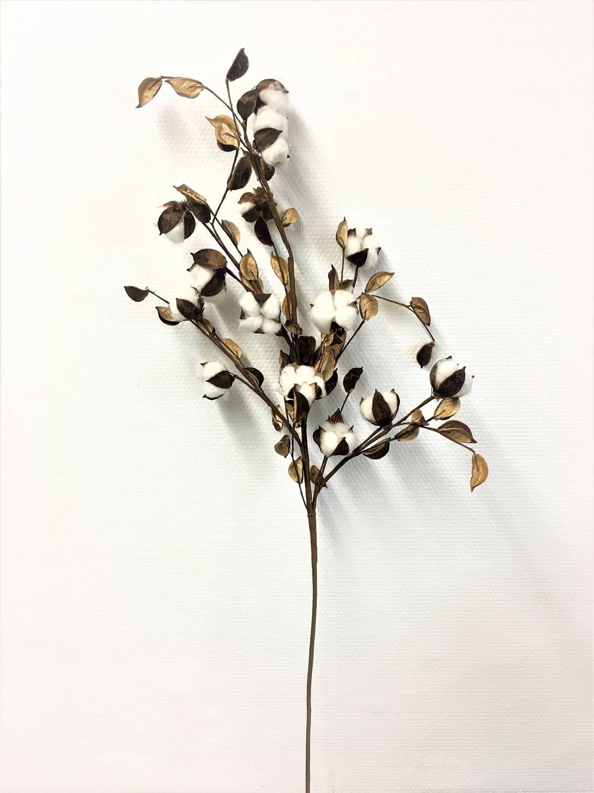 Kalyste - Kalyste - Branche de coton artificielle L.103 cm