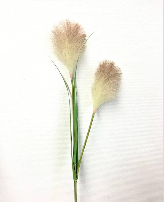 Tige 2 herbes de la pampa 76 cm