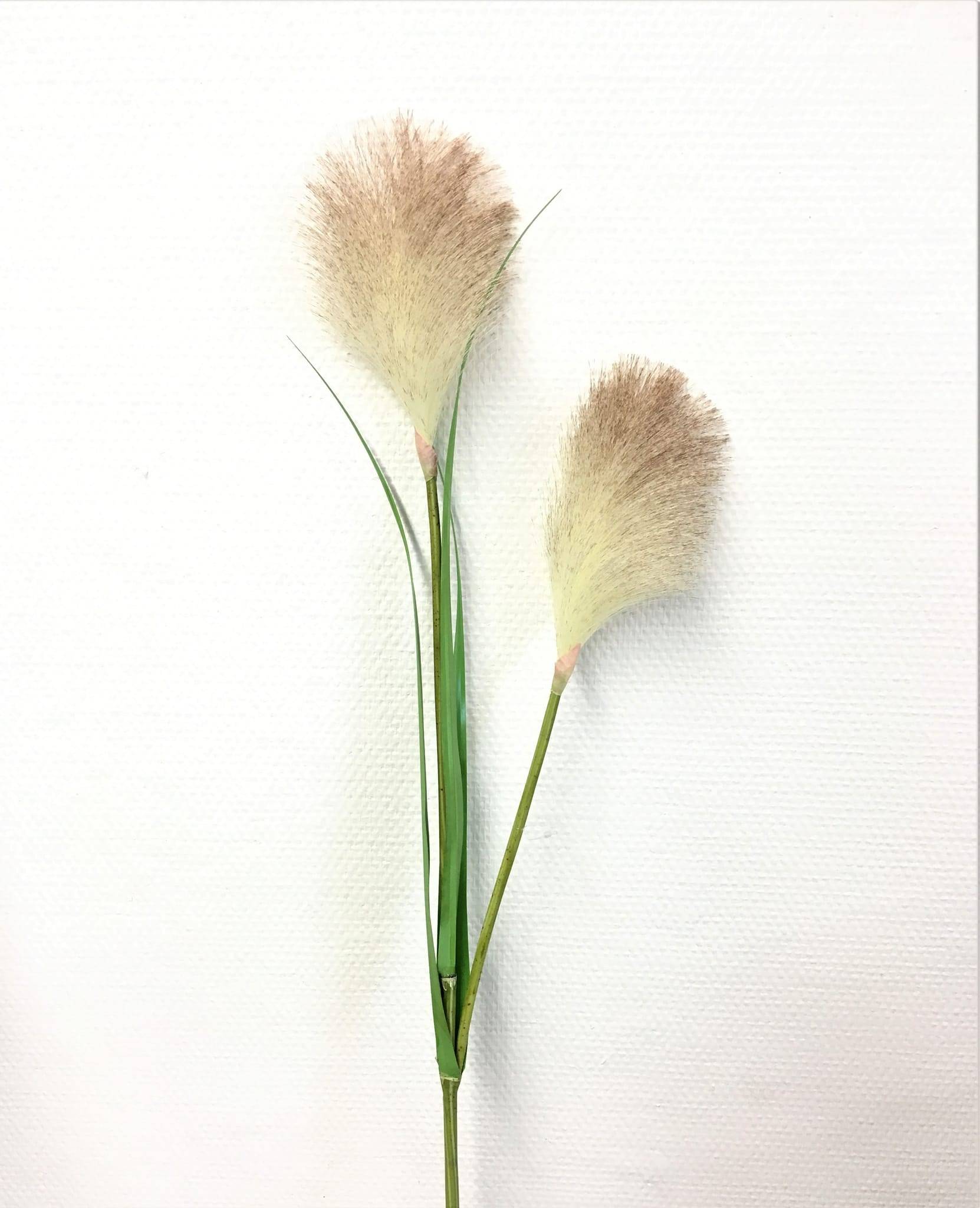 Tige 2 herbes de la pampa 76 cm