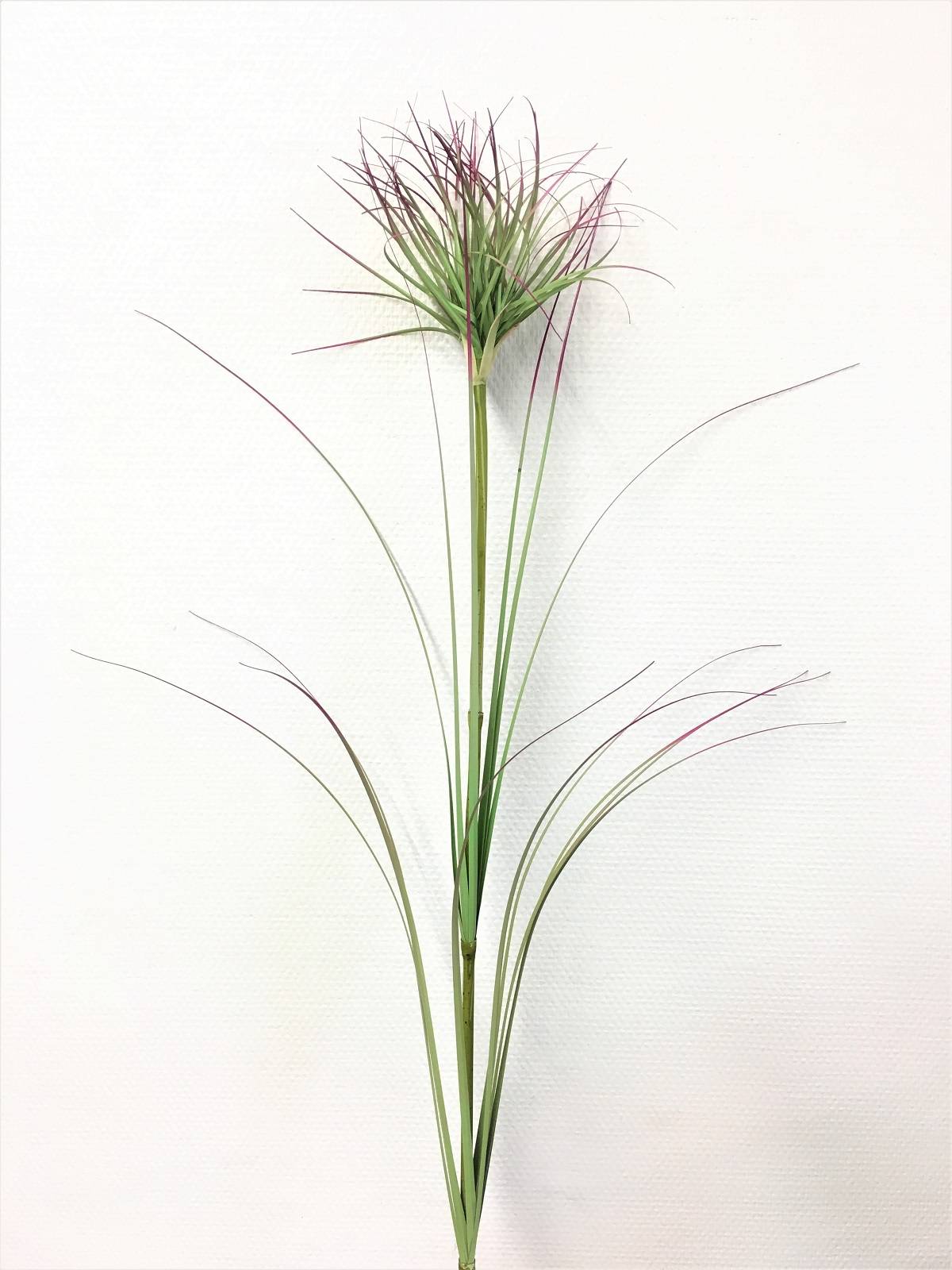 Kalyste - Kalyste - Branche artificielle Papyrus Bicolore L.96 cm