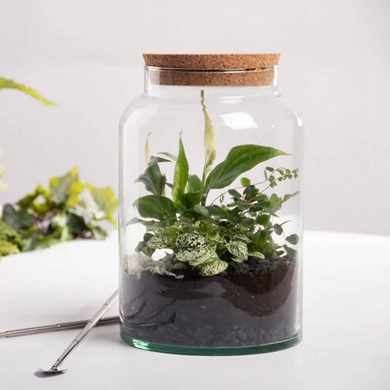Bouteille Terrarium Verre Recyclé Transparent H 32,3 cm Ø 18,5 cm – Aucun - Imagen 2