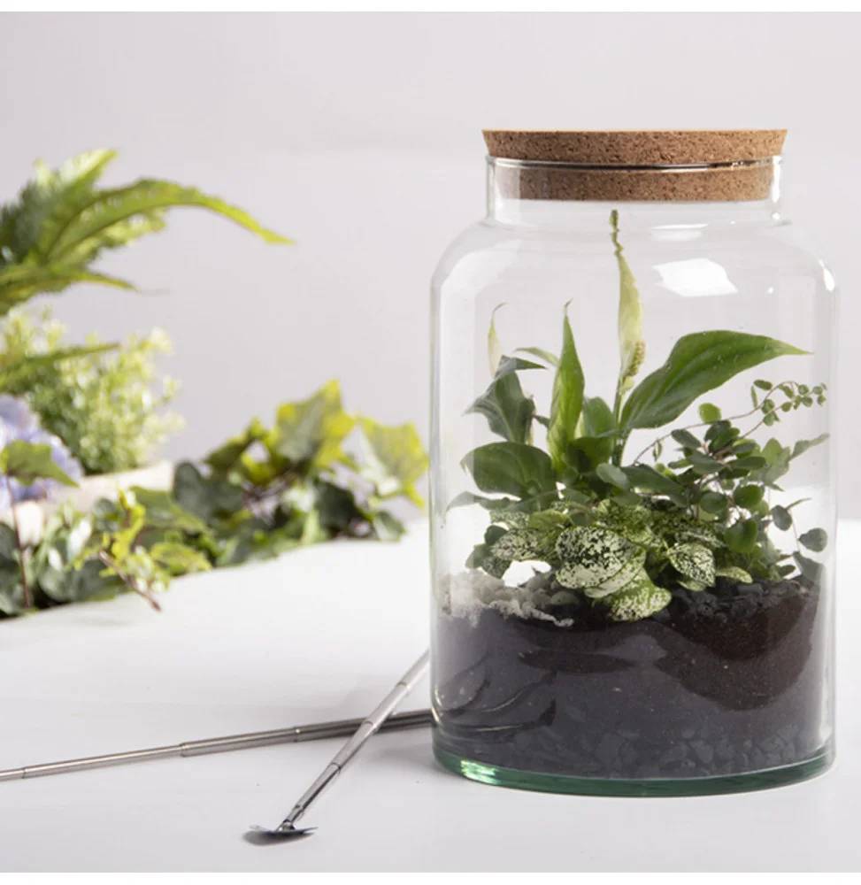 Bouteille Terrarium Verre Recyclé Transparent H 32,3 cm Ø 18,5 cm – Aucun - Image 3
