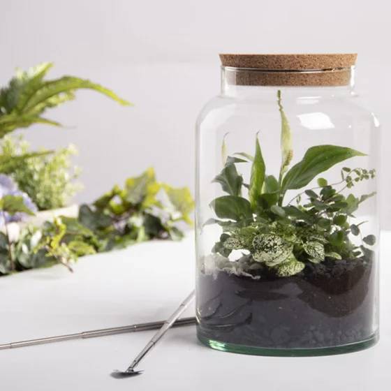 Bouteille Terrarium Verre Recyclé Transparent H 32,3 cm Ø 18,5 cm – Aucun - Image 5