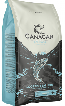 Canagan - Croquettes chien adulte au saumon d’Écosse sans céréales 2 kg - Canagan - Image 2