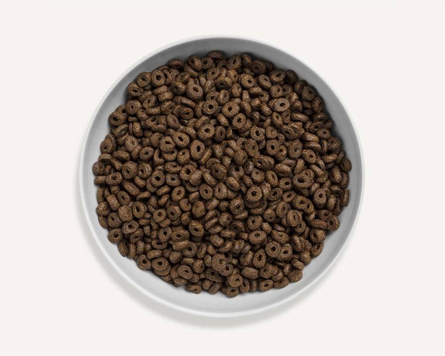 Canagan - Croquettes chien adulte au saumon d’Écosse sans céréales 2 kg - Canagan - Image 3