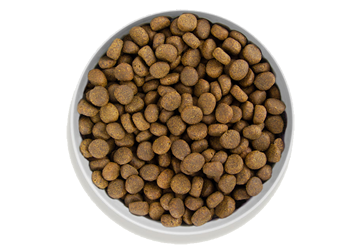 Canagan - Croquettes chien saumon/gibier à plume sans céréales 12 kg - Canagan - Image 2
