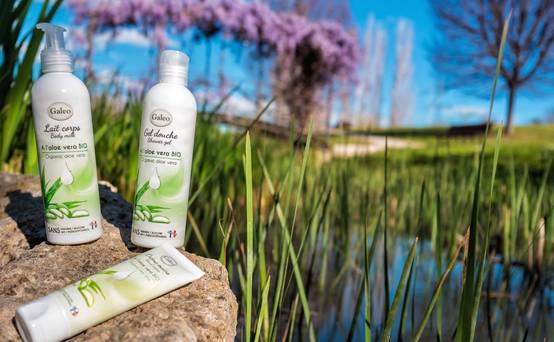 Galeo - Galeo - Coffret soins à l'aloe vera biologique - Image 6
