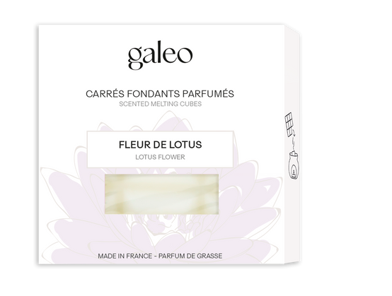 Carrés fonfants Made in France aux parfums de Grasse - Image 7