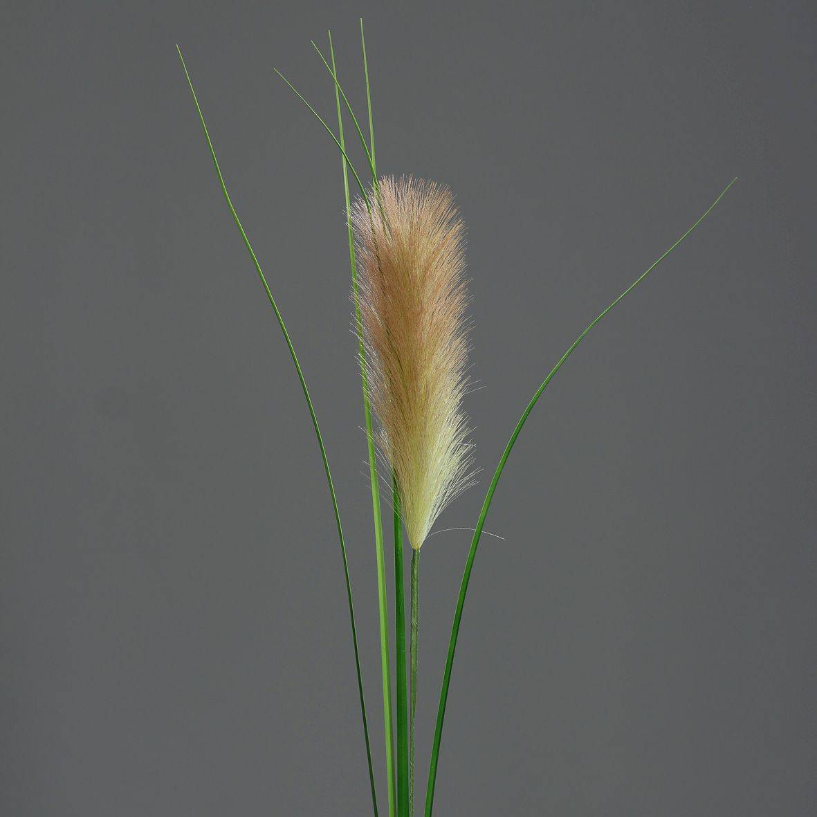 DPI - DPI - Herbe artificielle de la pampa plumeau vert H.97 cm