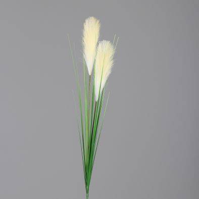 DPI - DPI - Herbe de la pampa creme artificielle H.107 cm