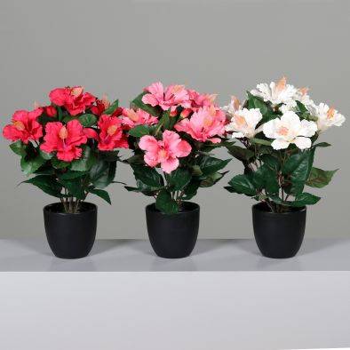 DPI - DPI - Hibiscus artificiel assortiment en pot H.39 cm