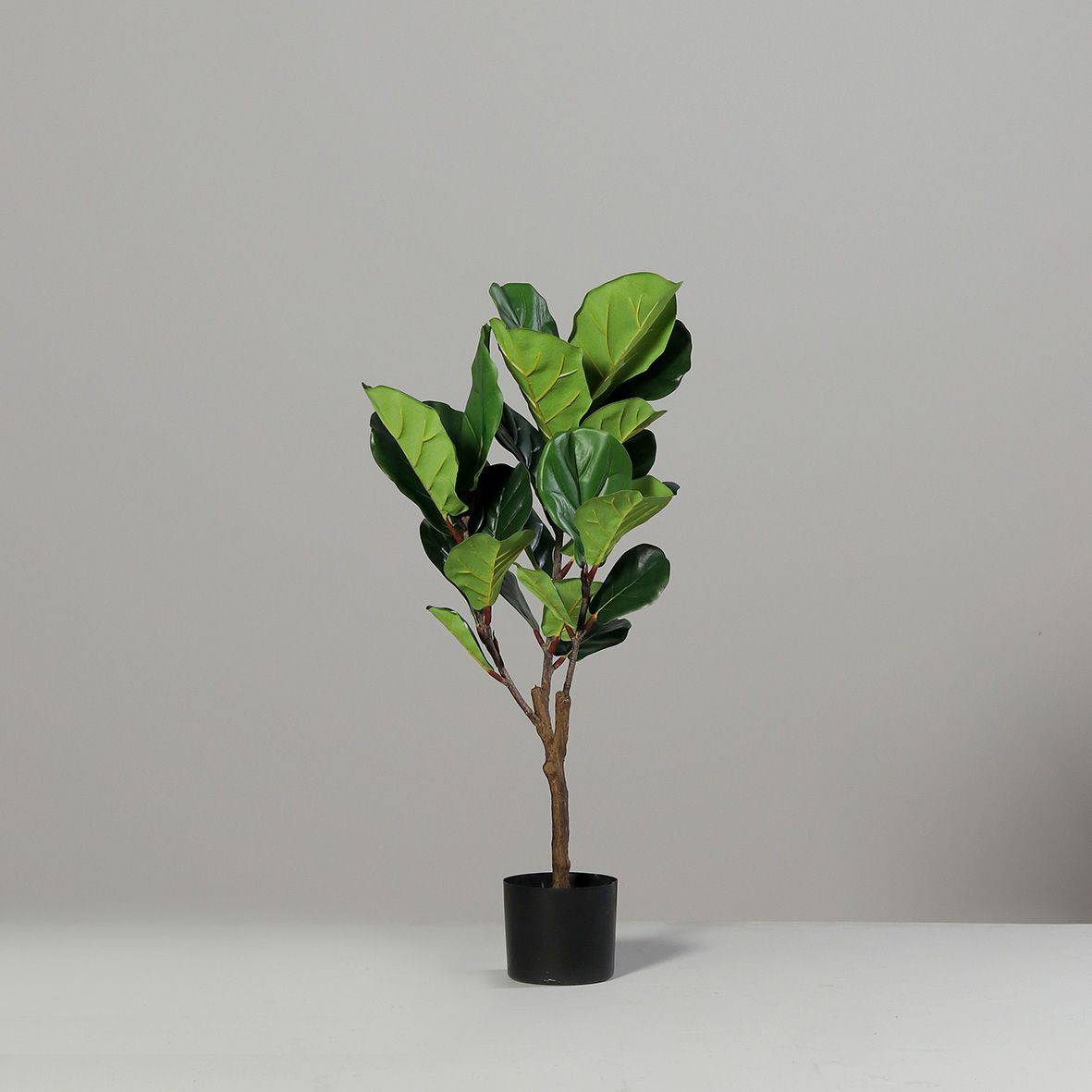DPI - DPI - Figuier artificiel en pot plastique noir H.80 cm