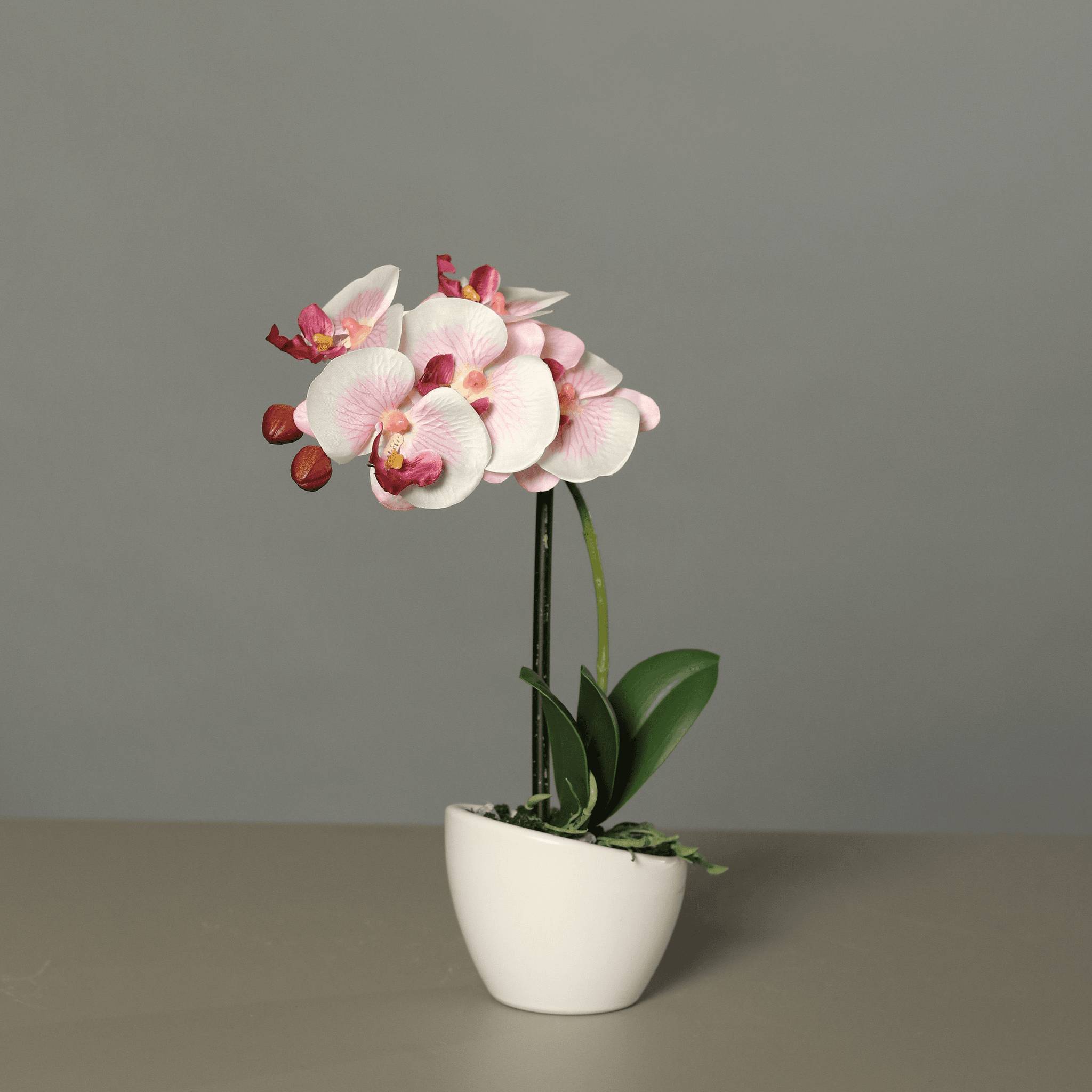 DPI - Orchidée phalaeno artificielle rose-blanc pot céramique H.30 cm
