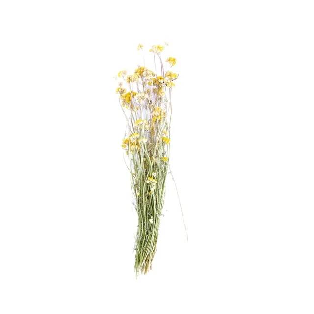 Bouquet de fleurs séchées jaune nature 49,5x14,5x8,5cm - Imagen 2