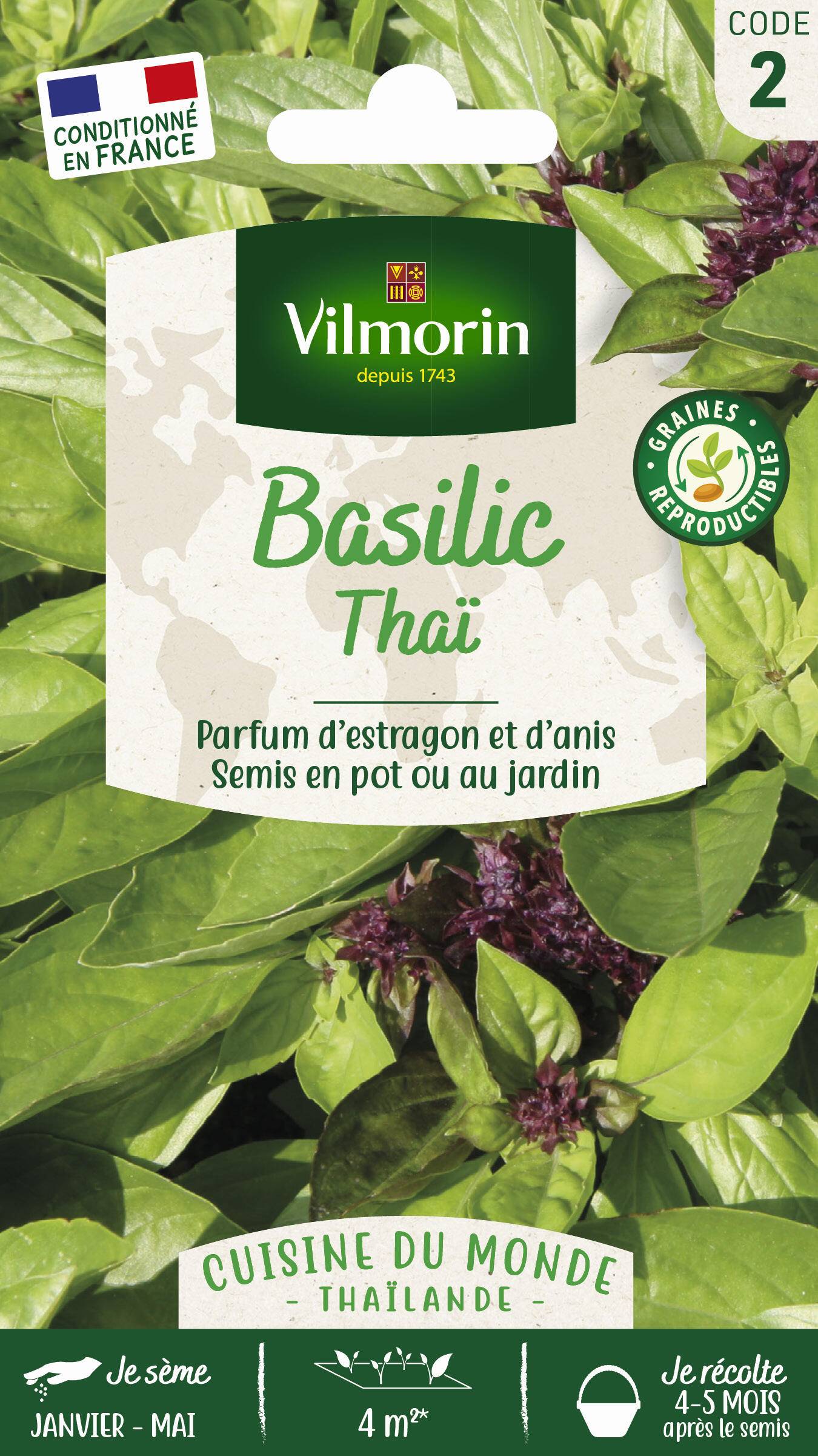 Vilmorin - Basilic thaï série 2 sachet graines 1 g - Vilmorin - Image 1