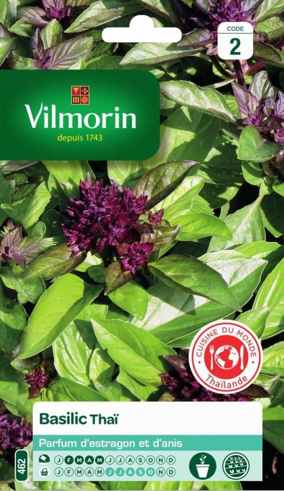 Vilmorin - Basilic thaï série 2 sachet graines 1 g - Vilmorin - Image 1