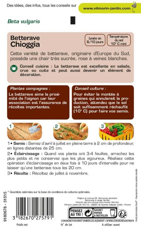 Vilmorin - Betterave potagère Chioggia série 2 sachet graines 6 g - Vilmorin - Image 2