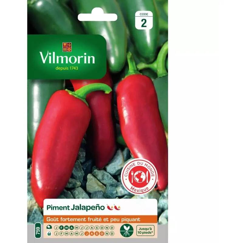 Vilmorin - Piment Jalapeno série 2 sachet graines 0,2 g - Vilmorin - Image 2
