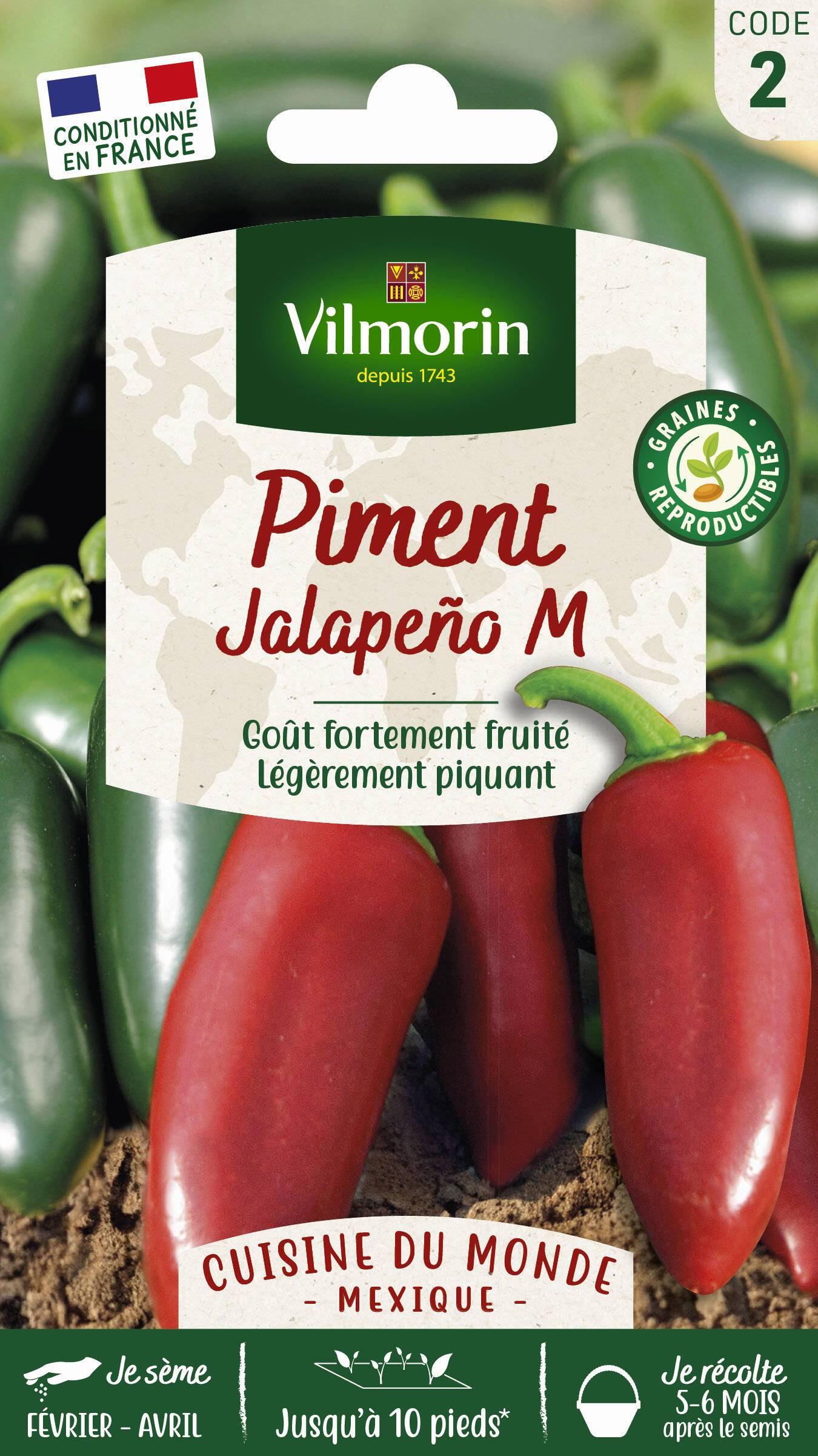 Vilmorin - Piment Jalapeno série 2 sachet graines 0,2 g - Vilmorin - Image 2