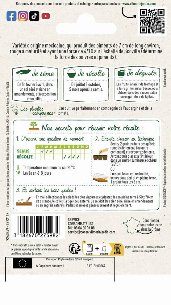 Vilmorin - Piment Jalapeno série 2 sachet graines 0,2 g - Vilmorin - Image 3