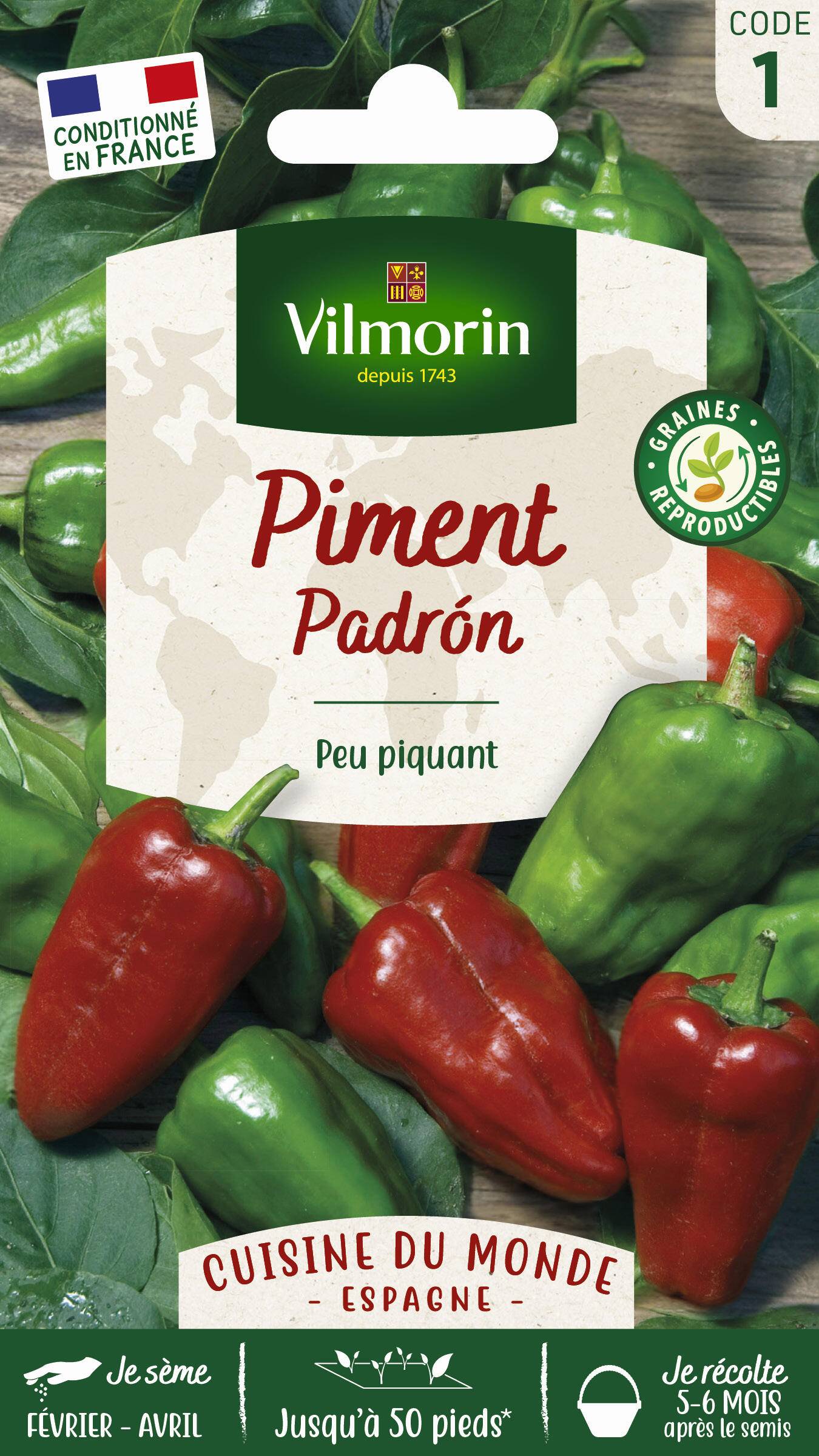 Vilmorin - Poivron Padron série 1 sachet graines 1 g - Vilmorin - Image 2