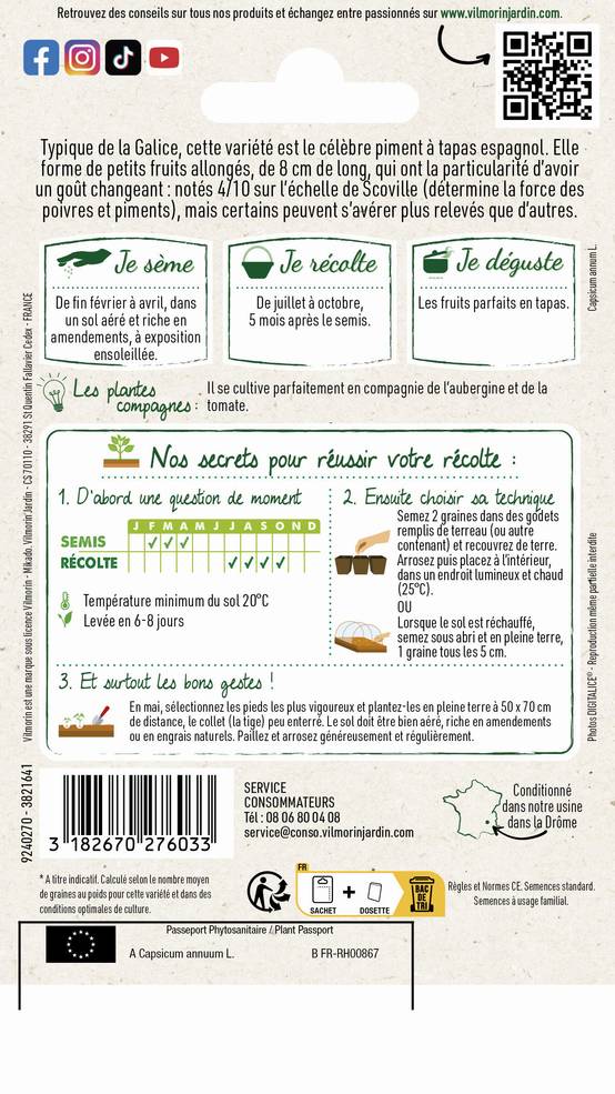Vilmorin - Poivron Padron série 1 sachet graines 1 g - Vilmorin - Image 3