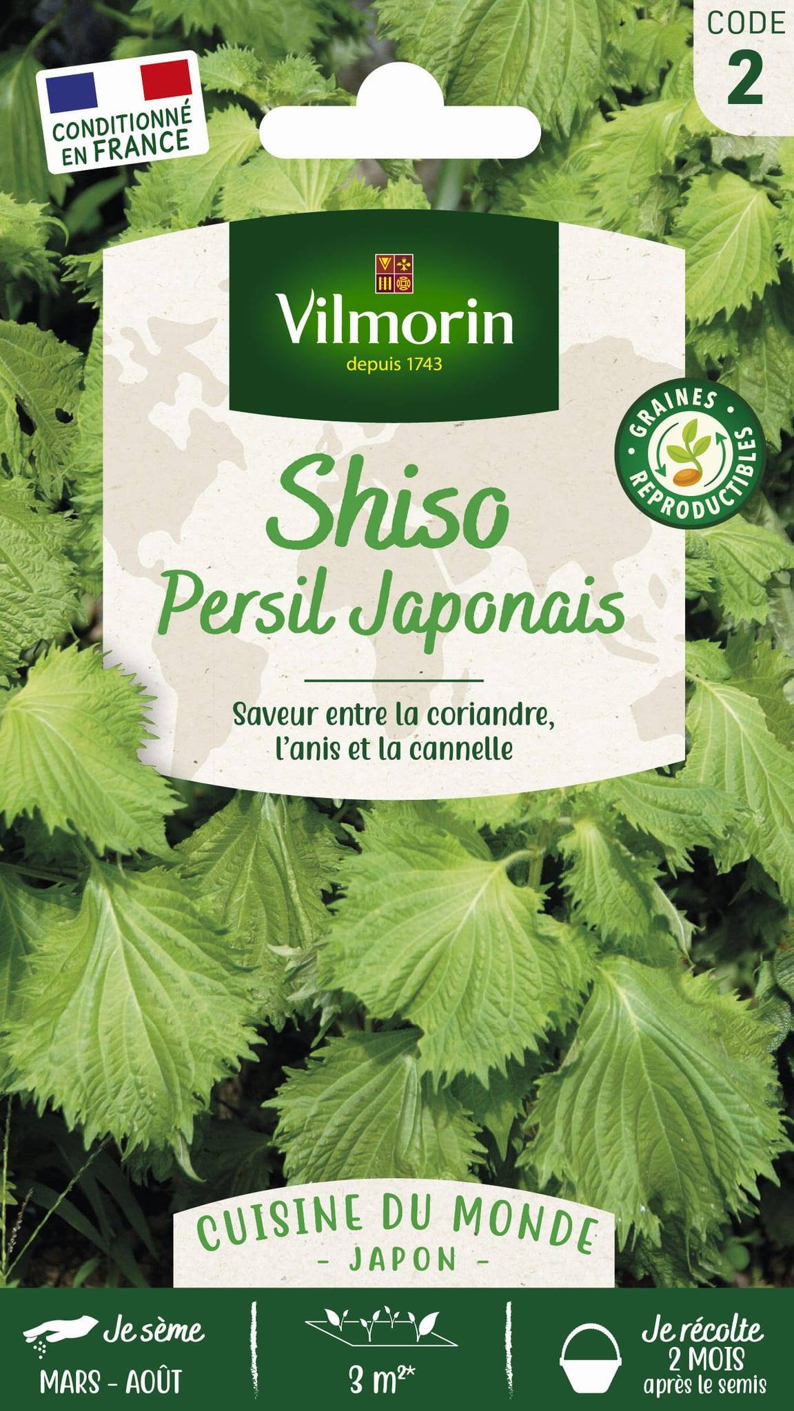 Vilmorin - Shiso vert persil japonais série 2 sachet graines 1 g - Vilmorin - Image 2