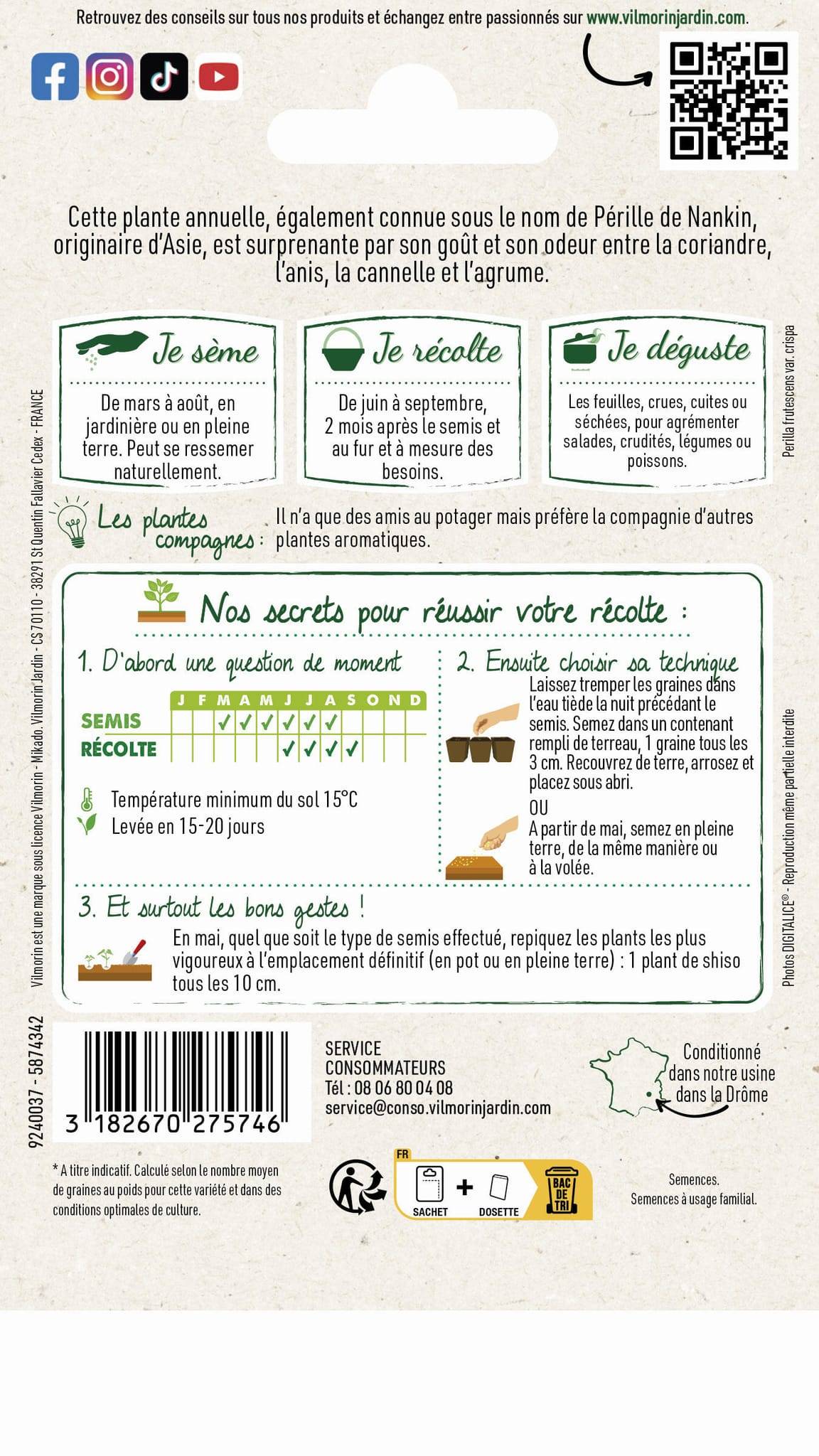 Vilmorin - Shiso vert persil japonais série 2 sachet graines 1 g - Vilmorin - Image 3