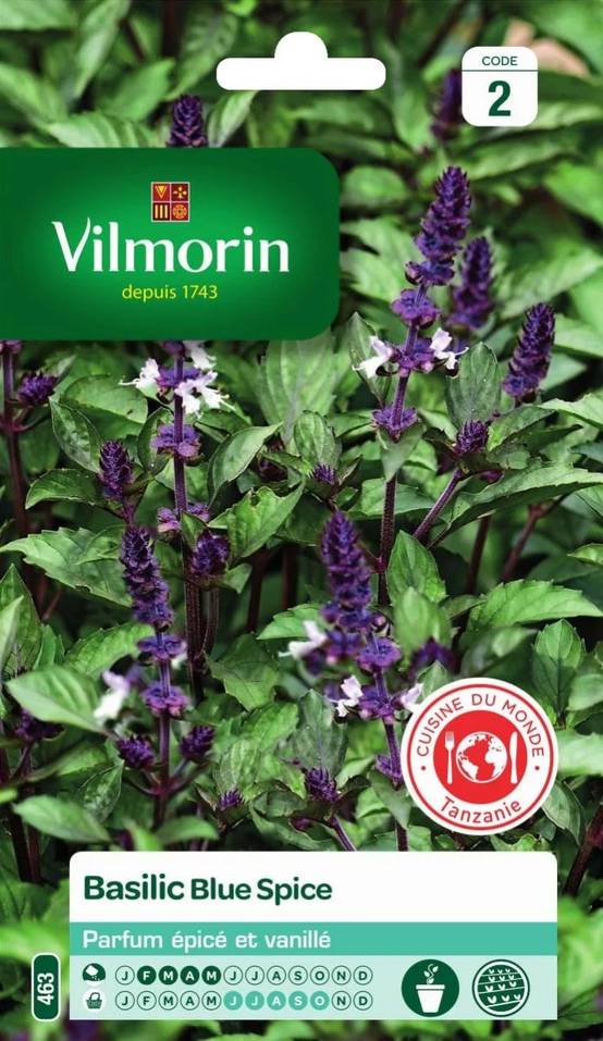 Vilmorin - Basilic blue spice série 2 sachet graines 1 g - Vilmorin - Image 2