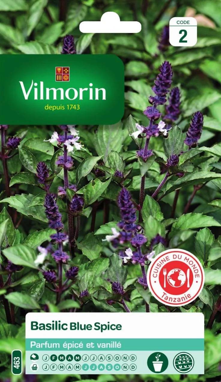 Vilmorin - Basilic blue spice série 2 sachet graines 1 g - Vilmorin - Image 2