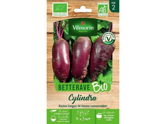 Vilmorin - Betterave potagère cylindra Bio série 2 sachet graines 5 g - Vilmorin - Image 2