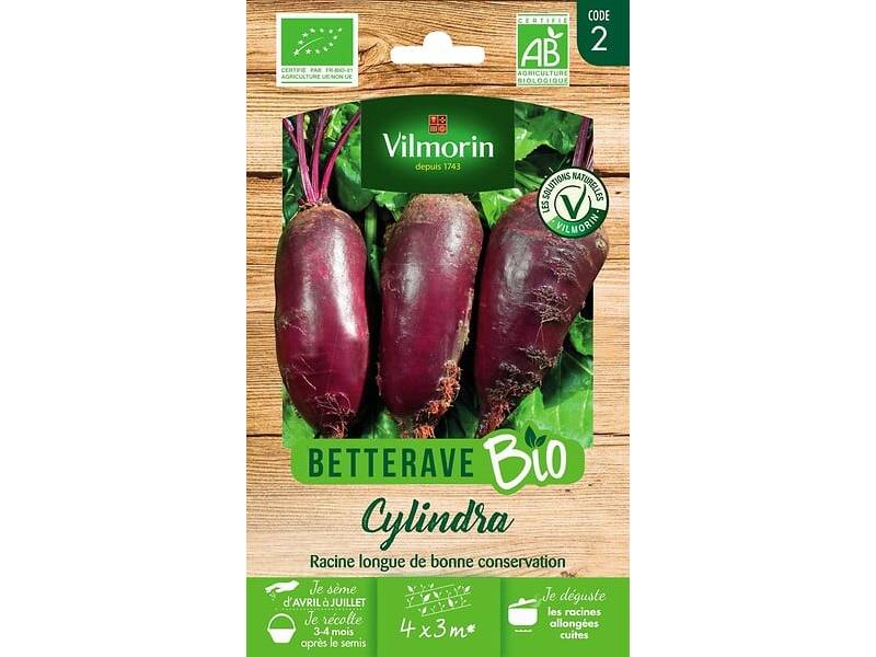 Vilmorin - Betterave potagère cylindra Bio série 2 sachet graines 5 g - Vilmorin - Image 2