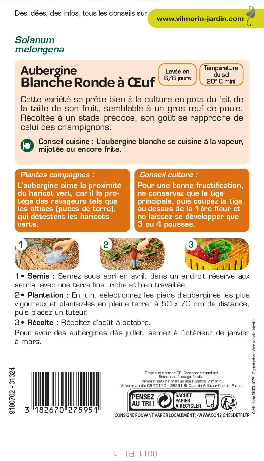 Vilmorin - Aubergine blanche ronde a œuf cuisine du monde série 2 sachet graines 1 g - Vilmorin - Image 3