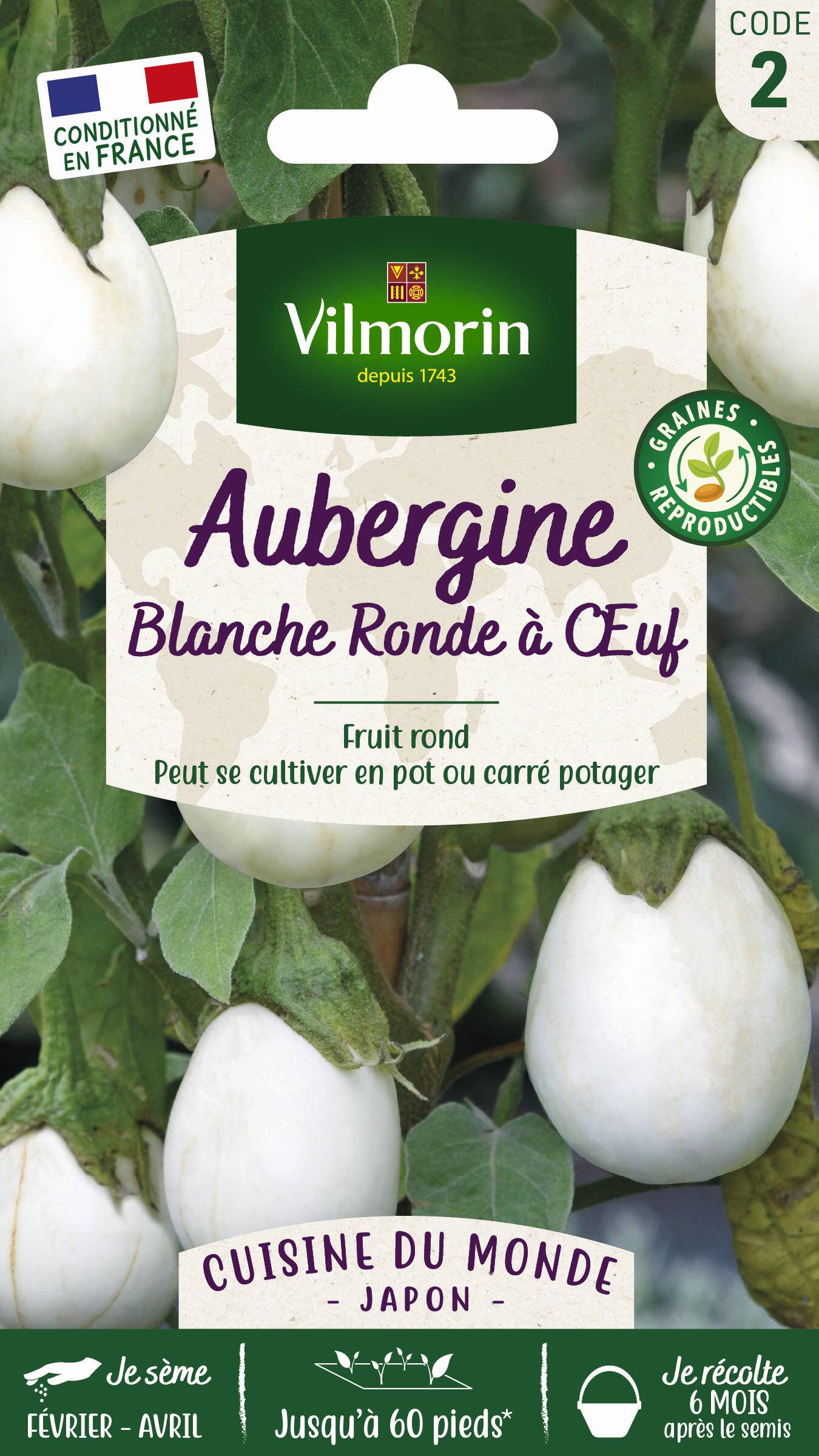 Vilmorin - Aubergine blanche ronde a œuf cuisine du monde série 2 sachet graines 1 g - Vilmorin - Image 2