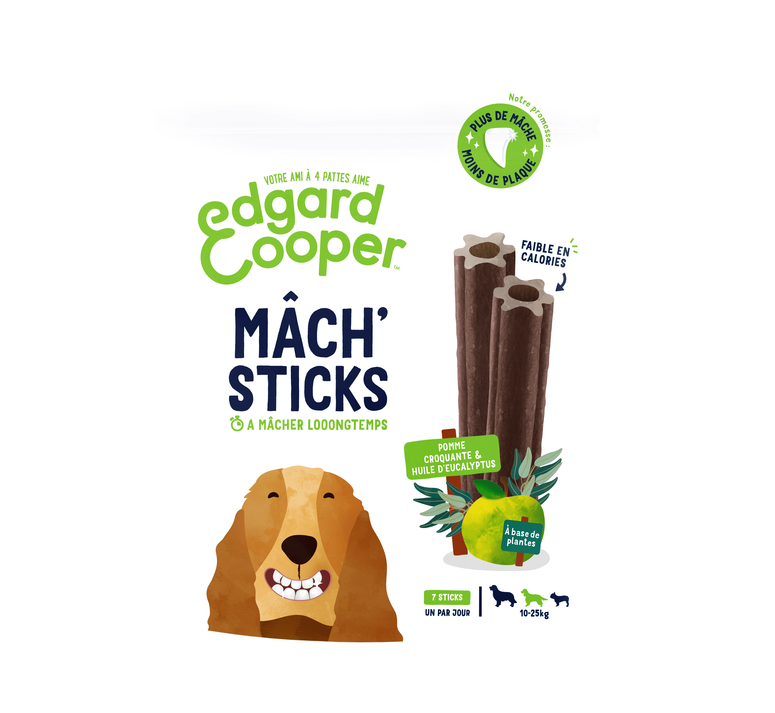 Edgard & Cooper - Stick dentaire naturel Moyen Chien pomme eucalyptus 160 g – Edgard & Cooper