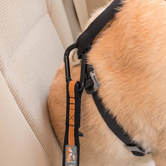Kurgo - Attache securite "direct seatbelt" bleu - Image 5