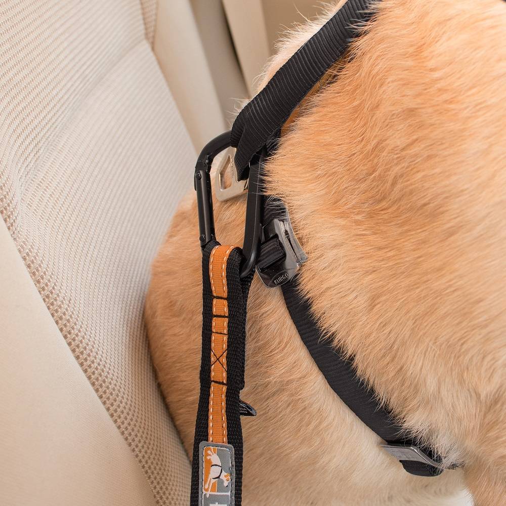 Kurgo - Correa de seguridad "direct seatbelt" azul - Imagen 5