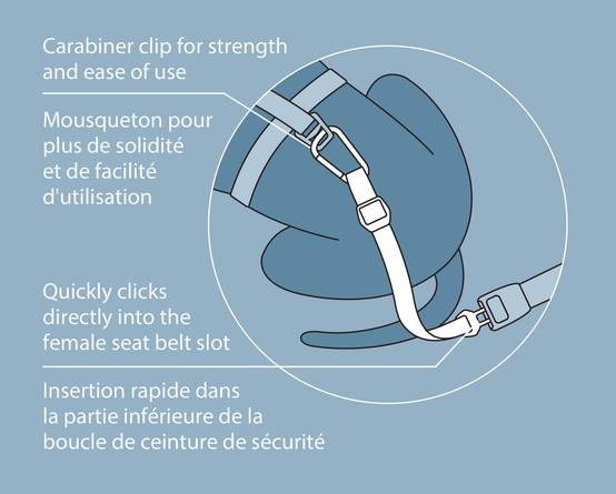 Kurgo - Attache securite "direct seatbelt" bleu - Image 4